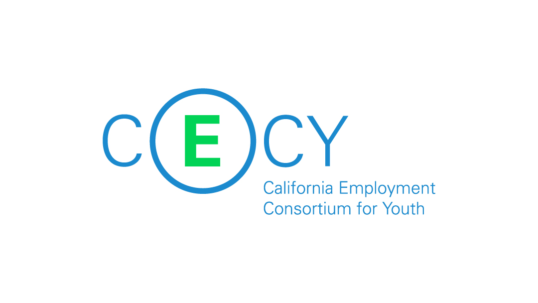 The CECY logotype against a white background. 